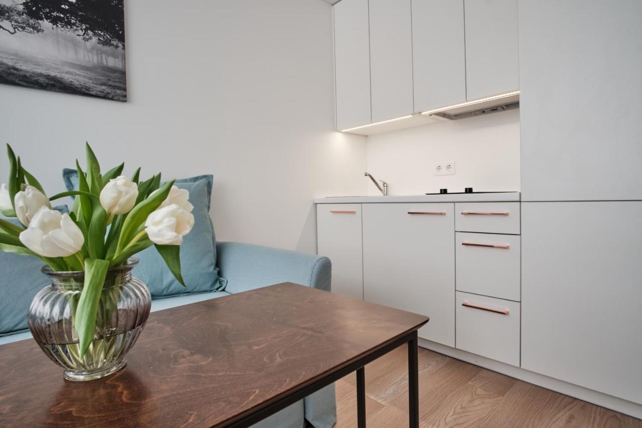 Cosy Studio Near Akropolis And Svyturio Arena 克莱佩达 外观 照片