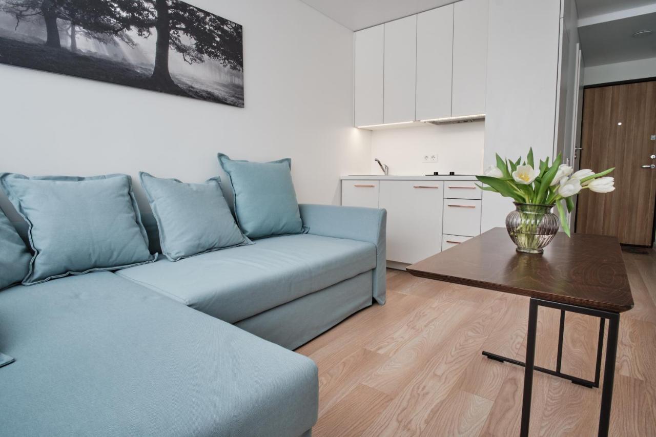 Cosy Studio Near Akropolis And Svyturio Arena 克莱佩达 外观 照片